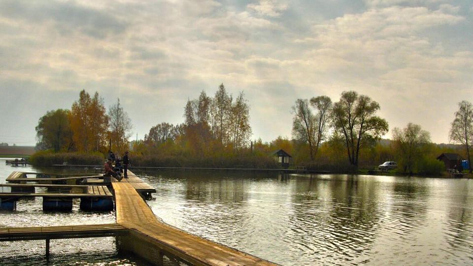 Барыбина платная рыбалка. Озеро в Барыбино. Барыбино озеро платная рыбалка. Растуново пруд. Пруд Промысловый.